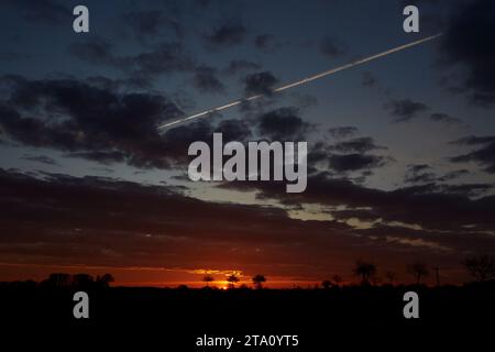 Sonnenaufgang zwischen den Feldern bei Erwitte Horn, Kreis Soest, NRW, Deutschland, Europa - Sonnenaufgang zwischen den Flügeln, nordrhein-westfalen, Stockfoto