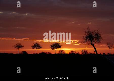 Sonnenaufgang zwischen den Feldern bei Erwitte Horn, Kreis Soest, NRW, Deutschland, Europa - Sonnenaufgang zwischen den Flügeln, nordrhein-westfalen, Stockfoto