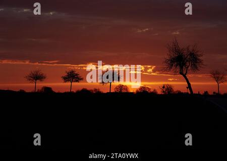 Sonnenaufgang zwischen den Feldern bei Erwitte Horn, Kreis Soest, NRW, Deutschland, Europa - Sonnenaufgang zwischen den Flügeln, nordrhein-westfalen, Stockfoto