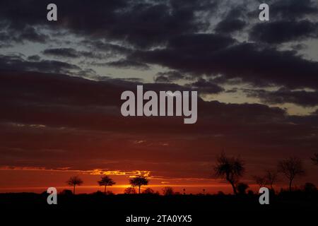 Sonnenaufgang zwischen den Feldern bei Erwitte Horn, Kreis Soest, NRW, Deutschland, Europa - Sonnenaufgang zwischen den Flügeln, nordrhein-westfalen, Stockfoto