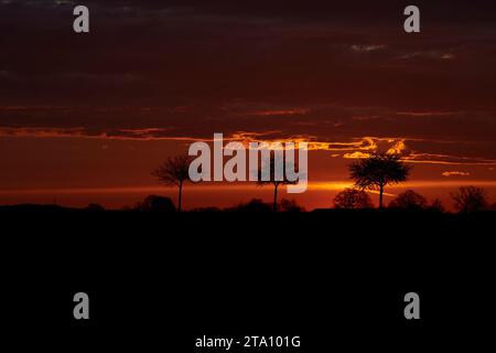 Sonnenaufgang zwischen den Feldern bei Erwitte Horn, Kreis Soest, NRW, Deutschland, Europa - Sonnenaufgang zwischen den Flügeln, nordrhein-westfalen, Stockfoto
