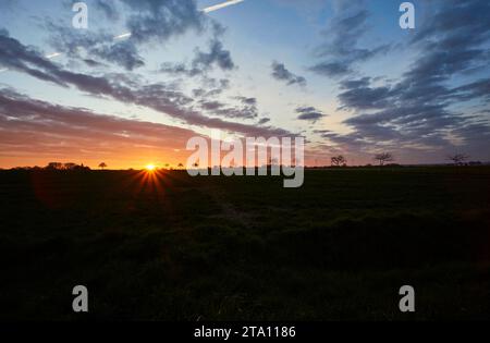 Sonnenaufgang zwischen den Feldern bei Erwitte Horn, Kreis Soest, NRW, Deutschland, Europa - Sonnenaufgang zwischen den Flügeln, nordrhein-westfalen, Stockfoto