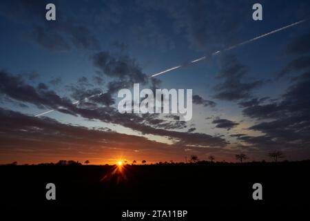 Sonnenaufgang zwischen den Feldern bei Erwitte Horn, Kreis Soest, NRW, Deutschland, Europa - Sonnenaufgang zwischen den Flügeln, nordrhein-westfalen, Stockfoto