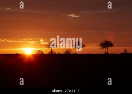 Sonnenaufgang zwischen den Feldern bei Erwitte Horn, Kreis Soest, NRW, Deutschland, Europa - Sonnenaufgang zwischen den Flügeln, nordrhein-westfalen, Stockfoto