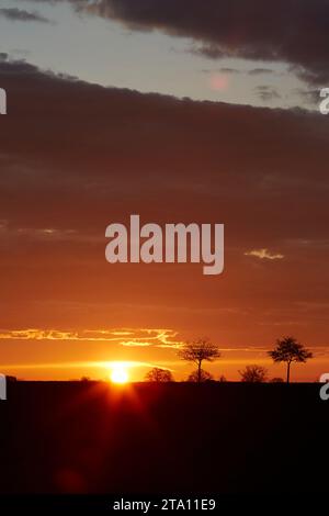 Sonnenaufgang zwischen den Feldern bei Erwitte Horn, Kreis Soest, NRW, Deutschland, Europa - Sonnenaufgang zwischen den Flügeln, nordrhein-westfalen, Stockfoto