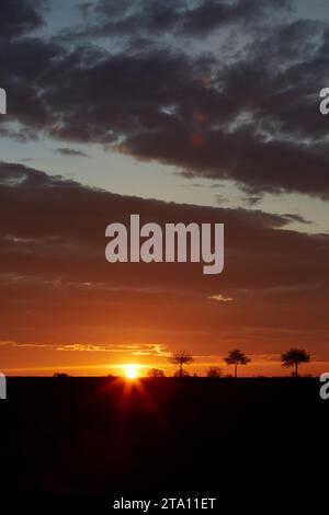 Sonnenaufgang zwischen den Feldern bei Erwitte Horn, Kreis Soest, NRW, Deutschland, Europa - Sonnenaufgang zwischen den Flügeln, nordrhein-westfalen, Stockfoto