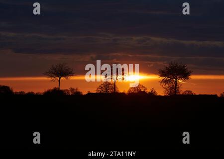 Sonnenaufgang zwischen den Feldern bei Erwitte Horn, Kreis Soest, NRW, Deutschland, Europa - Sonnenaufgang zwischen den Flügeln, nordrhein-westfalen, Stockfoto