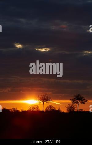 Sonnenaufgang zwischen den Feldern bei Erwitte Horn, Kreis Soest, NRW, Deutschland, Europa - Sonnenaufgang zwischen den Flügeln, nordrhein-westfalen, Stockfoto