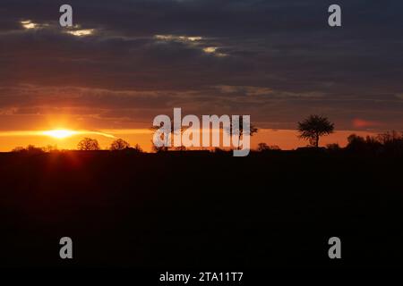 Sonnenaufgang zwischen den Feldern bei Erwitte Horn, Kreis Soest, NRW, Deutschland, Europa - Sonnenaufgang zwischen den Flügeln, nordrhein-westfalen, Stockfoto