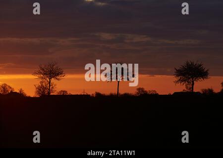 Sonnenaufgang zwischen den Feldern bei Erwitte Horn, Kreis Soest, NRW, Deutschland, Europa - Sonnenaufgang zwischen den Flügeln, nordrhein-westfalen, Stockfoto
