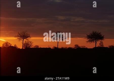 Sonnenaufgang zwischen den Feldern bei Erwitte Horn, Kreis Soest, NRW, Deutschland, Europa - Sonnenaufgang zwischen den Flügeln, nordrhein-westfalen, Stockfoto