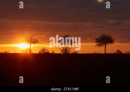 Sonnenaufgang zwischen den Feldern bei Erwitte Horn, Kreis Soest, NRW, Deutschland, Europa - Sonnenaufgang zwischen den Flügeln, nordrhein-westfalen, Stockfoto