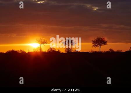 Sonnenaufgang zwischen den Feldern bei Erwitte Horn, Kreis Soest, NRW, Deutschland, Europa - Sonnenaufgang zwischen den Flügeln, nordrhein-westfalen, Stockfoto