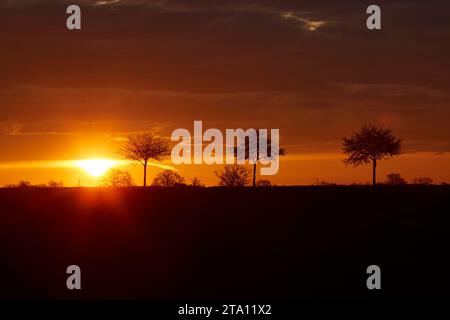 Sonnenaufgang zwischen den Feldern bei Erwitte Horn, Kreis Soest, NRW, Deutschland, Europa - Sonnenaufgang zwischen den Flügeln, nordrhein-westfalen, Stockfoto