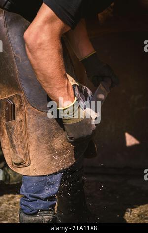 Der Farmer bereitet den Hufhufeisenhufeisen vor. Er entfernt die überschüssige Hufwand. Er formt den Nagelstumpf mit einer Hufraspel. Stockfoto