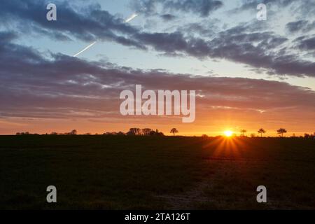 Sonnenaufgang zwischen den Feldern bei Erwitte Horn, Kreis Soest, NRW, Deutschland, Europa - Sonnenaufgang zwischen den Flügeln, nordrhein-westfalen, Stockfoto