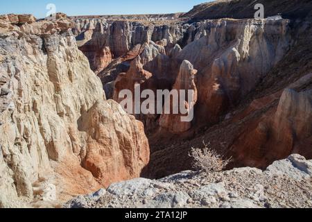 Klassische amerikanische Landschaften: Coalmine Canyon in der Nähe von Tuba City Stockfoto