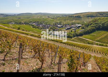 Blick auf die Weinberge mit Blick von Belvédère sur Sancerre in Richtung der Stadt Sancerre Stockfoto