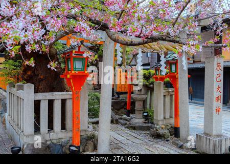 Kyoto, Japan - 6. April 2023: Tatsumi Daimyojin-Schrein in der Nähe der Tatsumu-Bashi-Brücke im Stadtteil Gion Stockfoto