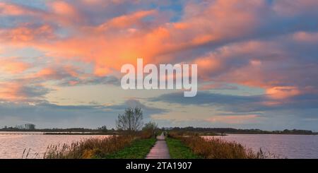 Ein breites 2:1-Panoramablick bei Sonnenuntergang im Naturschutzgebiet 't Roegwold, das sich auf dem Dannemeer in der Nähe des Dorfes Schildwolde in der Provinz G befindet Stockfoto