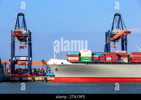 Containerschiffe, die mit Portalkranen im ECT Shipping Terminal im Hafen von Rotterdam beladen werden. Niederlande - 16. März 2016 Stockfoto