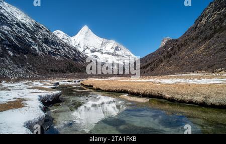Chonggu Wiese, Wasserspiegelung im Hintergrund mit schneebedeckten Bergen im Yading Nature Reserve, Sichuan, China. Letzte Shangri-la Höhe 4.600 m. Stockfoto