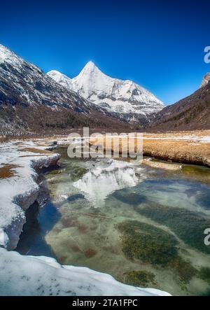 Chonggu Wiese, Wasserspiegelung im Hintergrund mit schneebedeckten Bergen im Yading Nature Reserve, Sichuan, China. Letzte Shangri-la Höhe 4.600 m. Stockfoto