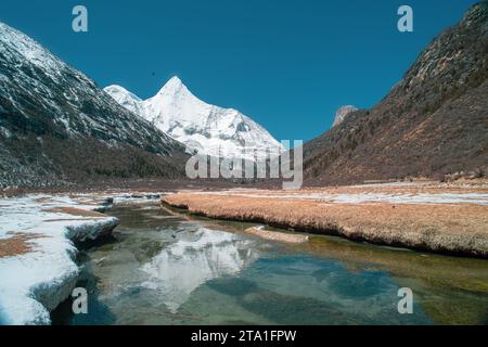 Chonggu Wiese, Wasserspiegelung im Hintergrund mit schneebedeckten Bergen im Yading Nature Reserve, Sichuan, China. Letzte Shangri-la Höhe 4.600 m. Stockfoto