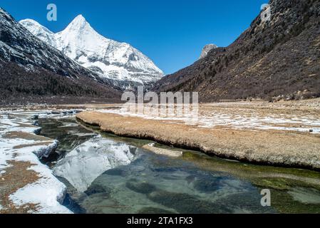 Chonggu Wiese, Wasserspiegelung im Hintergrund mit schneebedeckten Bergen im Yading Nature Reserve, Sichuan, China. Letzte Shangri-la Höhe 4.600 m. Stockfoto