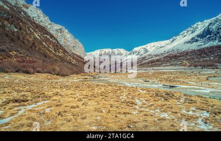 Chonggu Wiese, Wasserspiegelung im Hintergrund mit schneebedeckten Bergen im Yading Nature Reserve, Sichuan, China. Letzte Shangri-la Höhe 4.600 m. Stockfoto