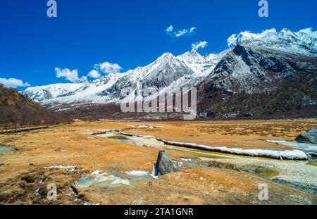 Chonggu Wiese, Wasserspiegelung im Hintergrund mit schneebedeckten Bergen im Yading Nature Reserve, Sichuan, China. Letzte Shangri-la Höhe 4.600 m. Stockfoto