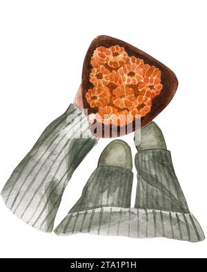 Aquarelle menschliche Hände, die einen Teller geschälter Mandarinen halten. Clip-Art-Set mit Illustration für den Winter. Gemütliche Winterillustration. Orange, Grau, Braun. Stockfoto