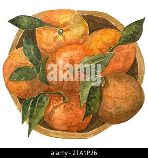 Aquarellzeichnung von Mandarinen in einer Holzteller-Illustration. Mandarine Orange in Aquarell. Mandarinen-Orangenfrucht – handgemalte Zeichnung. Gemütlicher Sieg Stockfoto