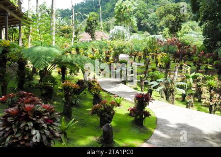 Le jardin de Balata EST un jardin botanique privé de Fort-de-France, Route de Balata, Martinique, Antillen Stockfoto