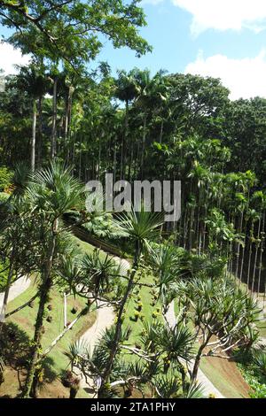 Le jardin de Balata EST un jardin botanique privé de Fort-de-France, Route de Balata, Martinique, Antillen Stockfoto