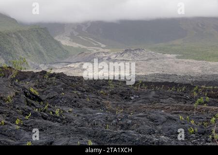 Alte Lavaflüsse von Piton de la Fournaise, Route du Grand-Brûlé (RN2) oder La Routes des Laves, Réunion, Frankreich. Stockfoto