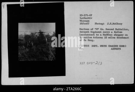 Marines von 'G Co. 2. Bataillon, 7. Regiment, tragen einen gefallenen Kameraden zu einem Medevac-Hubschrauber während der Operation Arizona, 40 Meilen südöstlich von da Nang. Das Foto wurde am 20. Juni 1967 von J. E. McClory aufgenommen und gehört dem US-Verteidigungsministerium. Stockfoto