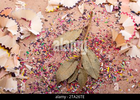 Trockene Blätter inmitten Farbe Bleistift rasieren Stockfoto