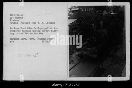 Eine Army Dual 40 mm Selbstfahrkanone unterstützt Marines bei den Straßenkämpfen in der Schlacht um Hus während der Operation Hue City am 3. Februar 1968. Das Foto wurde von Sgt W. F. Dickman von MarDiv Vietnam aufgenommen. Foto des Verteidigungsministeriums. Stockfoto