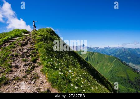 Wanderweg von Fellhorn, 2038m, nach Soellereck, Allgäuer Alpen, Bayern, Deutschland Stockfoto