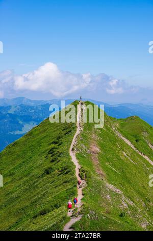 Wanderweg von Fellhorn, 2038m, nach Soellereck, Allgäuer Alpen, Bayern, Deutschland Stockfoto