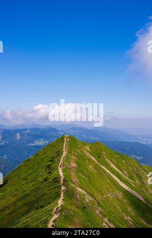 Wanderweg von Fellhorn, 2038m, nach Soellereck, Allgäuer Alpen, Bayern, Deutschland Stockfoto