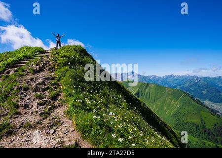 Wanderweg von Fellhorn, 2038m, nach Soellereck, Allgäuer Alpen, Bayern, Deutschland Stockfoto