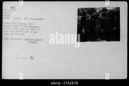 Soldaten der Kompanie, 2. Bataillon, 7. Marine-Regiment, packen Reis in Taschen in einem Dorf, um militärische Operationen in Vietnam zu unterstützen, April 1966. Stockfoto
