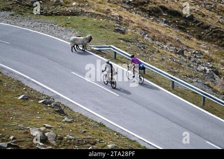 Bikepacker an der Timmelsjoch-Hochalpenstraße zwischen Österreich und Italien Stockfoto