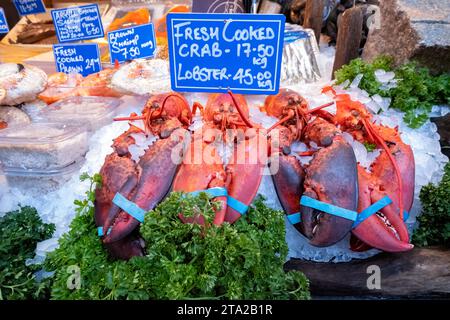 Frisch gekochte Hummer zum Verkauf an einem Marktstand. Die Hummer werden zu Preisen angeboten und neben anderen Meeresfrüchten auf Eis serviert Stockfoto