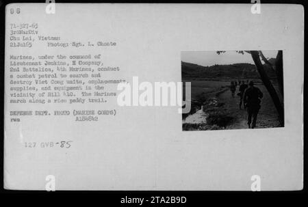 Marines der H Kompanie, 2. Bataillon, 4. Marines, angeführt von Lieutenant Jenkins, führten am 21. Juli 1965 eine Kampfpatrouille in Chu Lai, Vietnam durch. Der Zweck der Patrouille ist es, vietnamesische Einheiten, Stellungen, Vorräte und Ausrüstung in der Nähe von Hill 10 zu durchsuchen und zu zerstören. Die Marines marschieren während der Operation auf einem Reisfeld. Stockfoto