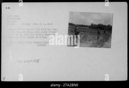 Marines führten die Operation Sutter am 8. Dezember 1966 in Südvietnam durch. Reisfeld auf dem Bild wird von Marines aus der 1. Einheit, 1. Zug, D Kompanie, 1. Bataillon, 5. Marines überquert. 3. Marine-Division (ausgestattet in Stint östlich von Tan Ky) Auf der Suche nach einem Scharfschützen. Fotografie mit PFC. K. L. Hall Heines. Offizielles Regierungsfoto des Marine Corps (SE-Abteilung). Identifikationsnummer: A188307, GVB-758. Stockfoto