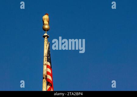 Rotschwanzfalke auf Fahnenmast Stockfoto