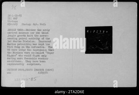 Amerikanische Soldaten der 3rd Marine Division patrouillieren trotz der Ankunft der Monsunsaison in Vietnam weiter durch dichtes Dschungel-Gelände. Die verstärkte Präsenz der Marine in der Region hat die Viet Cong in die Defensive gebracht, da sie fälschlicherweise glaubten, dass die Marines nur bei günstigeren Wetterbedingungen kämpfen würden. Stockfoto